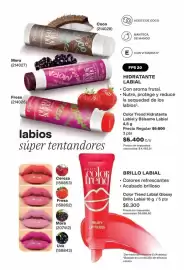 Catálogo Avon Página 48: Mora - (214027) €4,50, Avon - brillo labial €8.300,00
