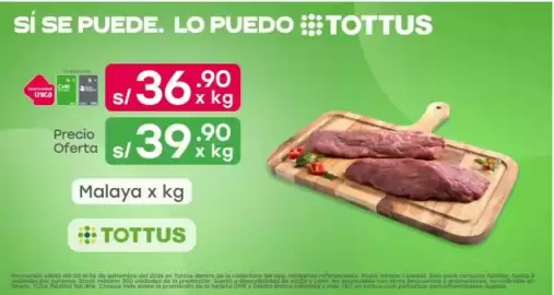 Catálogo Tottus semana 36 Página 8: Tottus Malaya €36,90
