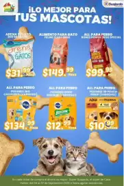 Folleto Guajardo Página 11: Pedigree sb pouch €10,99, Pedigree Biscrok (variedad) €12,99
