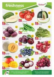 Shaklan leaflet Page 8: freshness of nature! Instore only D 3.99 Papaya Green/kg Instore only Đ 2.49 Tomato Iran /kg D 5.99
