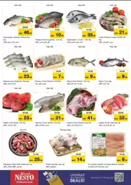 Nesto catalogue Page 17