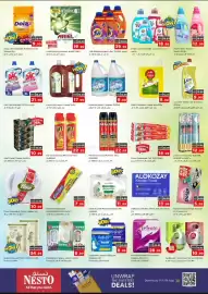 Nesto catalogue Page 11