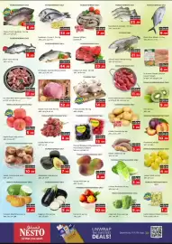 Nesto catalogue Page 3