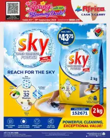 Africa Cash and Carry catalogue week 36 Page 15: Sky hand washing powder €43,75