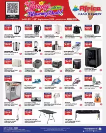 Africa Cash and Carry catalogue week 36 Page 32: Royal Air Fryer €799,00, Kenwood Steam Iron €219,00