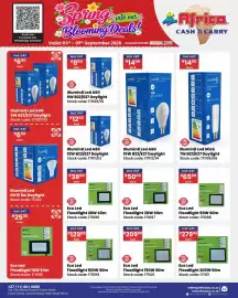 Africa Cash and Carry catalogue week 36 Page 38: Eco Led Floodlight 150W Slim €209,00, Eco Led Floodlight 30W Slim €50,00