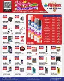 Africa Cash and Carry catalogue week 36 Page 39: Nasca Car Polish Paste Wax €33,99, Medal Putty €8,50