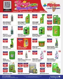 Africa Cash and Carry catalogue week 36 Page 53: Blixem M/ Purpose Cleaner Lemon €22,99, Blixem Food Safe 20L €409,00