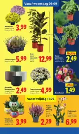 Lidl folder week 37 Pagina 37