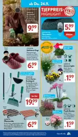 Aldi Süd Prospekt woche 39 Seite 20