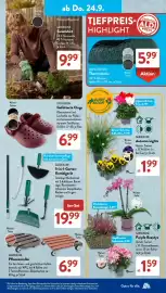 Aldi Süd Prospekt woche 39 Seite 20