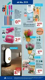 Aldi Süd Prospekt woche 39 Seite 6