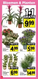 Vomar Voordeelmarkt folder week 37 Pagina 31