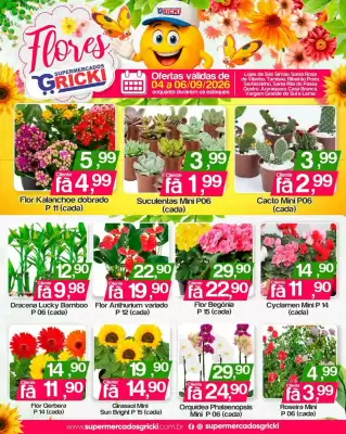 Catálogo Supermercados Gricki (válido até 6-09)