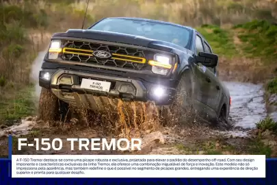 Catálogo Ford Página 21