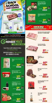 Galleria (valid until 11-09)