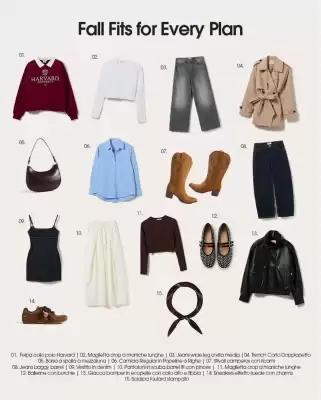 Alcott (valido fino al 16-09)