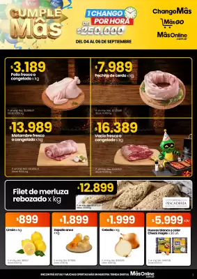 Catálogo Changomas (válido hasta 6-09)