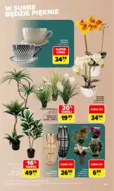 Carrefour gazetka Strona 5: Kwiat sztuczny w doniczce €6,99, Lampion dekoracyjny €26,99