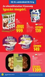 Lidl akciós újság hét 37 Oldal 10