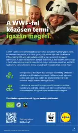 Lidl akciós újság hét 37 Oldal 11