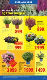 Lidl akciós újság hét 37 Oldal 19