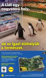 Lidl akciós újság hét 37 Oldal 28