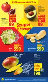 Lidl akciós újság hét 37 Oldal 44