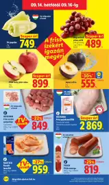Lidl akciós újság hét 37 Oldal 58
