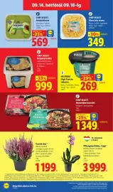 Lidl akciós újság hét 37 Oldal 60