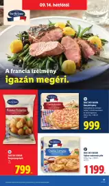 Lidl akciós újság hét 37 Oldal 61