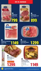 Lidl akciós újság hét 37 Oldal 62