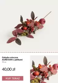 Homla gazetka tydzień 36 Strona 5: Gałązka sztuczna Aurevian z jabłkami 70 cm €40,00