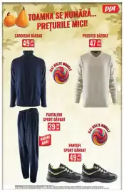 Catalog PPT Pagină 8