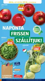 ALDI akciós újság hét 37 Oldal 30: Rukkola €333,00, Karalábé €222,00