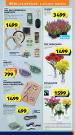 ALDI akciós újság hét 37 Oldal 7