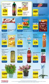 Tesco akciós újság hét 37 Oldal 8: Márka Szénsavas Üdítőital €339,00, Barilla durum száraz spagettitészta €899,00