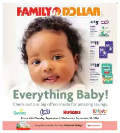 Family Dollar weekly ad Page 1: Pampers Baby Wipes €5,00, Luvs Diapers €15,00