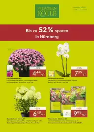 Pflanzen Kölle Prospekt Seite 1