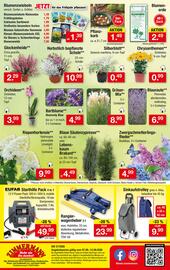 Zimmermann Prospekt woche 37 Seite 16