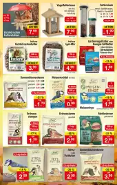 Zimmermann Prospekt woche 37 Seite 6