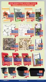 CENTERSHOP Prospekt woche 37 Seite 6