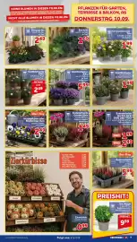 CENTERSHOP Prospekt woche 37 Seite 7