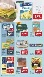 Famila Nord West Prospekt woche 37 Seite 10