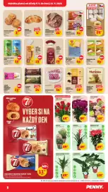 Penny Market leták týden 37 Strana 3: Schär pan blanco €44,00, Filodendron různé druhy €109,00
