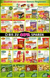 Norma Prospekt woche 38 Seite 13