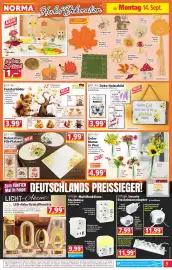 Norma Prospekt woche 38 Seite 5