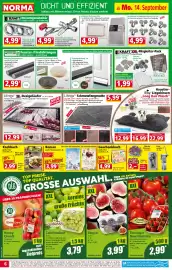 Norma Prospekt woche 38 Seite 6