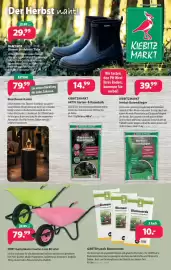 Kiebitzmarkt Prospekt Seite 1