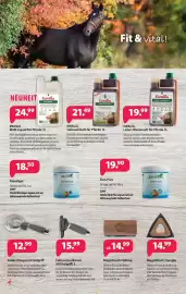 Kiebitzmarkt Prospekt Seite 12